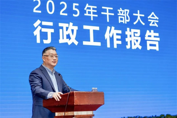 凯发k8一触即发转型进击:自主握指为拳,合资以变应变