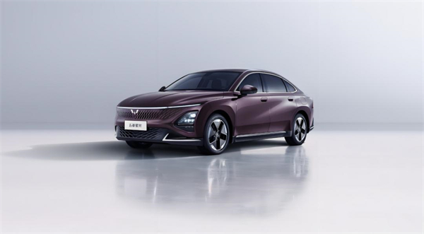 凯发k8一触即发用半年时间,展现出中国汽车“头雁”的变革伟力